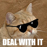 Deal With It