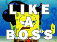 Like A Boss