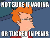 Futurama Fry / Not Sure If X