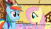 questionmarkh-moving-to-KYM.jpg