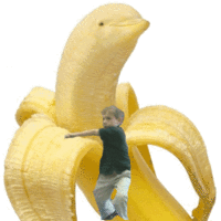 Picture Unrelated