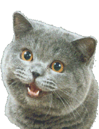 LOLcats
