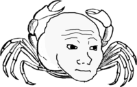 I Know That Feel Bro