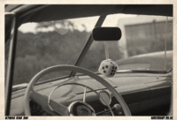 Cinemagraphs