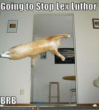 I Must Go
