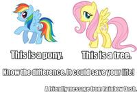 Fluttershy is a Tree