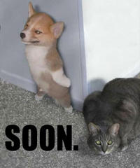 SOON