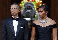 Obama Rage Face / Not Bad