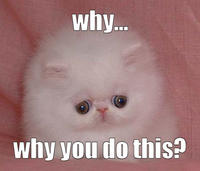 LOLcats