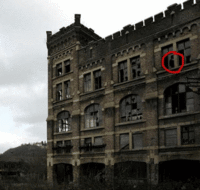 Horrifying House-guest / Shadowlurker