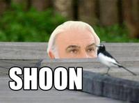 SOON