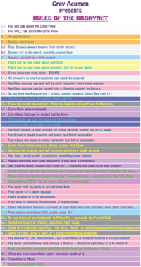 Rules of the Internet