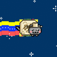 Nyan Cat / Pop Tart Cat
