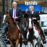fgsfds