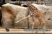 Shun+the+non-believer!!!1!