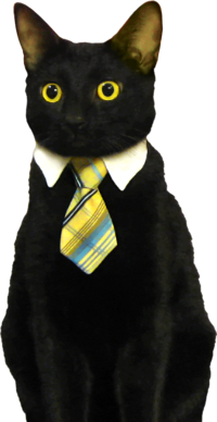 Business Cat
