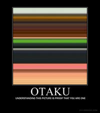 Otaku Test