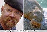 Mythbusters