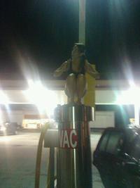 Owling