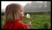 Cinemagraphs