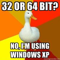 Technologically Impaired Duck