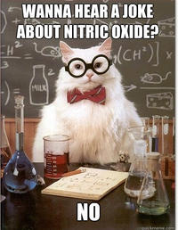 Chemistry Cat