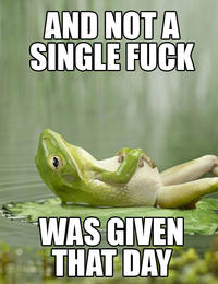 Singlefrog