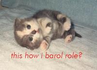 Do A Barrel Roll
