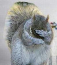 Facepalm