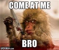 COME AT ME BRO