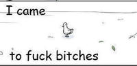 Came Here To Fuck Bitches