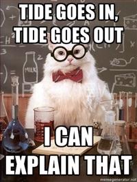 Chemistry Cat