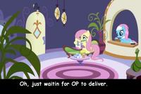 Waiting for OP/OP Will Surely Deliver
