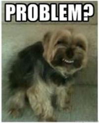 Trollface / Coolface / Problem?