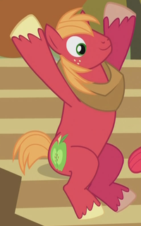 My Little Pony Character Fandom
