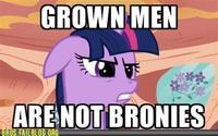 Pony Haters