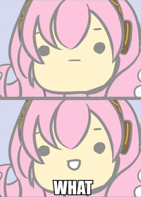 Tako Luka