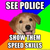 Advice Dog