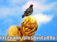 Facepalm