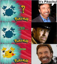 Chuck Norris Facts