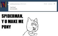 "Y U NO" Guy