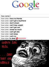 Google Search Box Suggestions