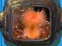 SpongeBob SquarePants
