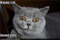 I Found Pills... And Ate Them!