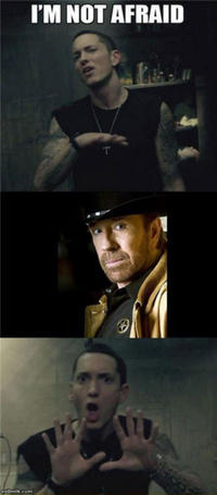 Chuck Norris Facts