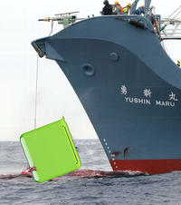 iPhone Whale