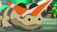 Kamina glasses