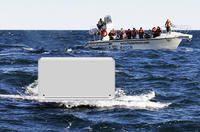 iPhone Whale