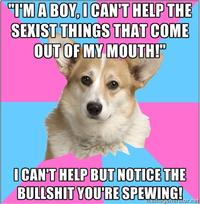 Critical Feminist Corgi