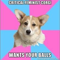 Critical Feminist Corgi
